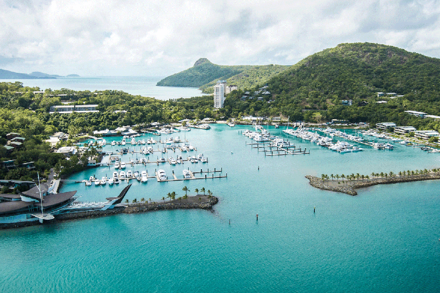 HamiltonIslandMarina